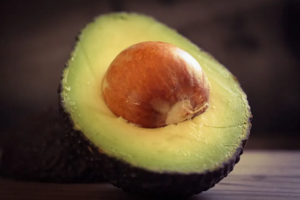 avocado museum